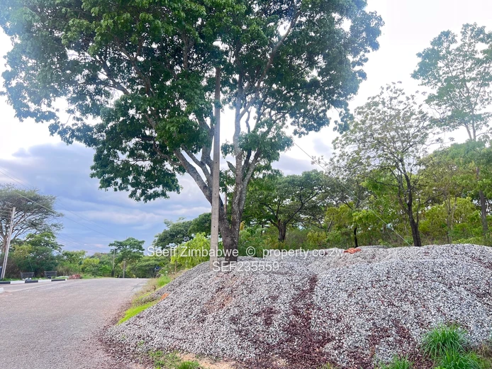 Prime land in Folyjon Crescent. Perfect location (Sole Mandate)