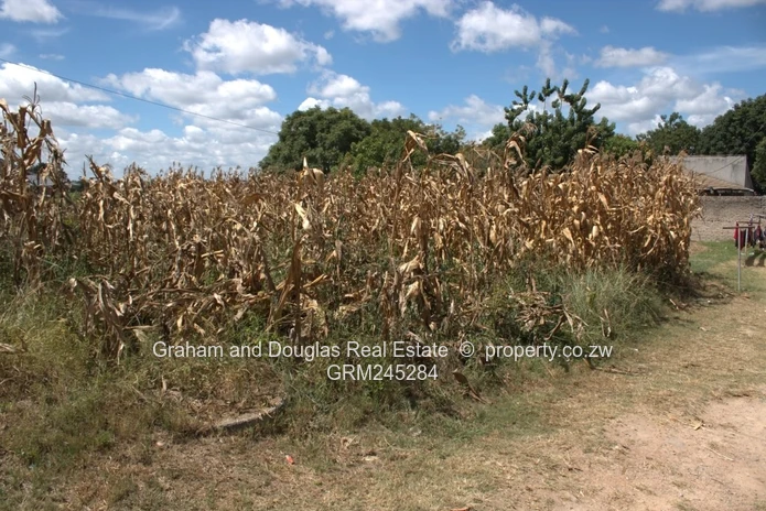 Zimre Park stand for sale