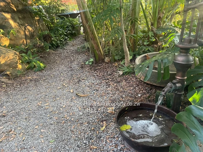 Incredible property in Glen Lorne