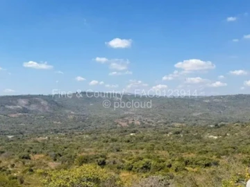 Farm & Agricultural Land