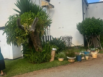 2 Bedroom Flat & Apartment
