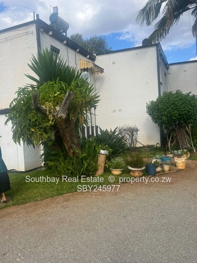 Charming Flat for Sale- Spacious and well Appointed. (Sole Mandate)