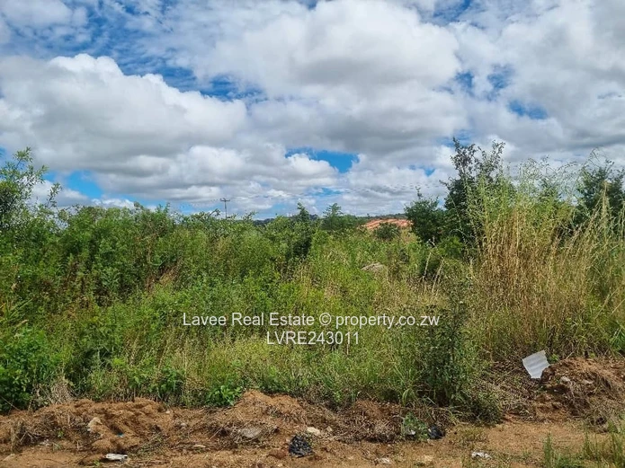 Rusape Undeveloped Lodge Site — 5,034 m² Green Plot (Sole Mandate)