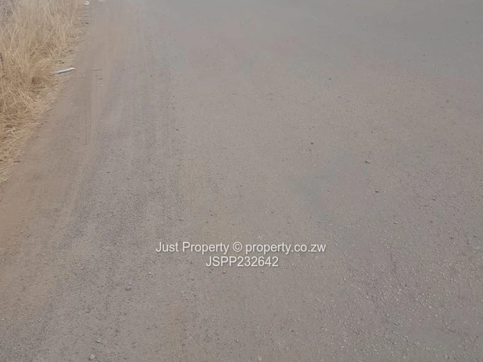 Spacious 1,630 m² Stand — Roadside Palm Trees, Haydon Park