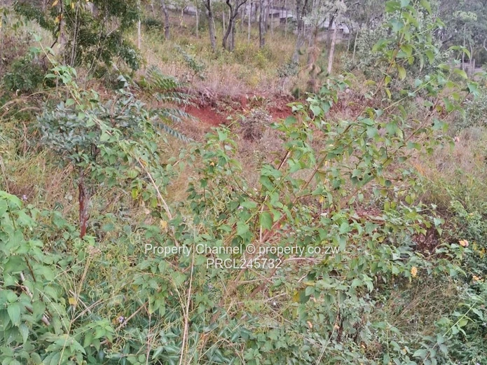 Stand For Sale In Borrowdale Brooke Ridge