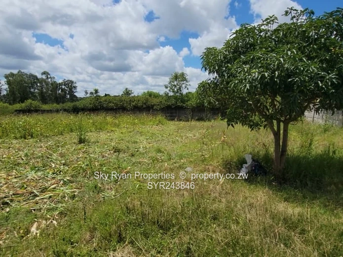 Hatfield Property For Sale 