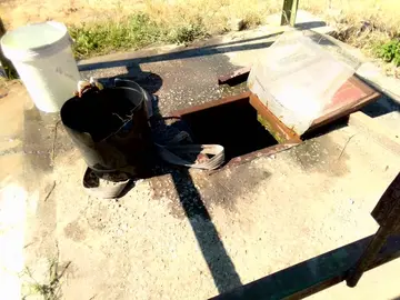 Farm & Agricultural Land