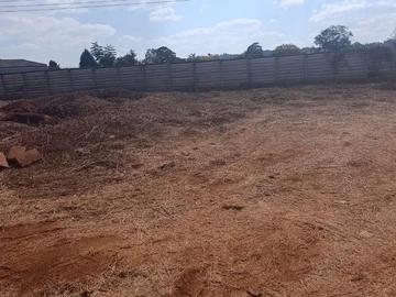 Stands & Residential Land