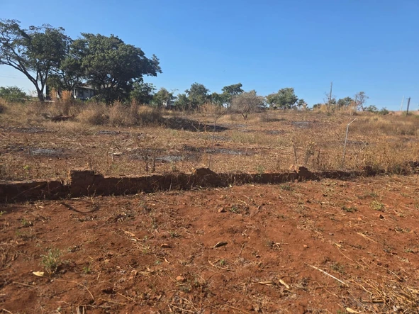 Stands & Residential Land