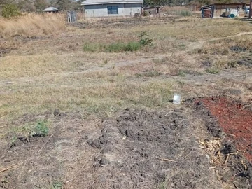 Land