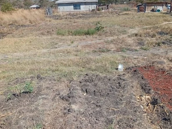 Land