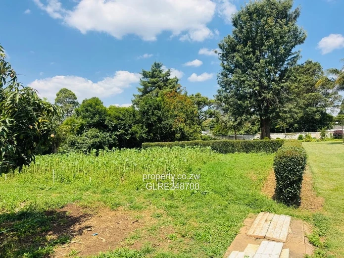 2000 m² Emerald Hill Stand — Secure, Treed & Subdividable