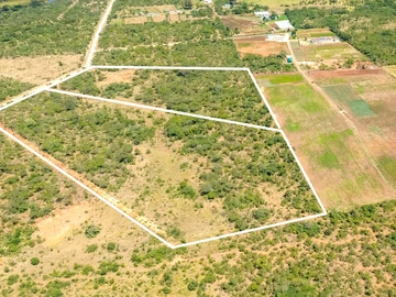 Farm & Agricultural Land