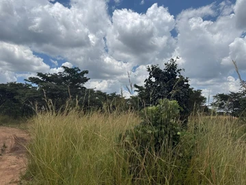 Farm & Agricultural Land