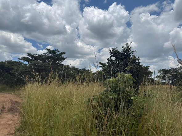 Farm & Agricultural Land