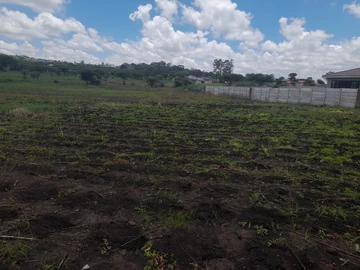 Stands & Residential Land