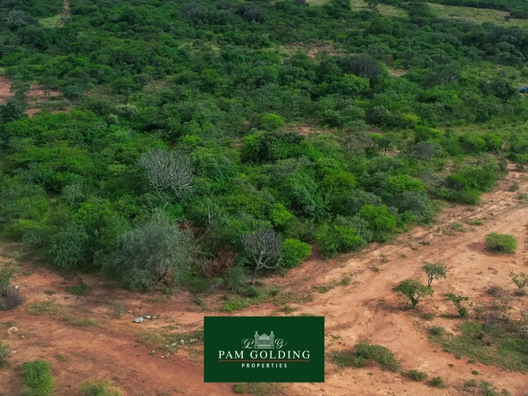 Farm & Agricultural Land