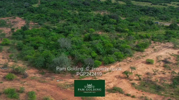 1- Hectare Plot for Sale in Kensington 