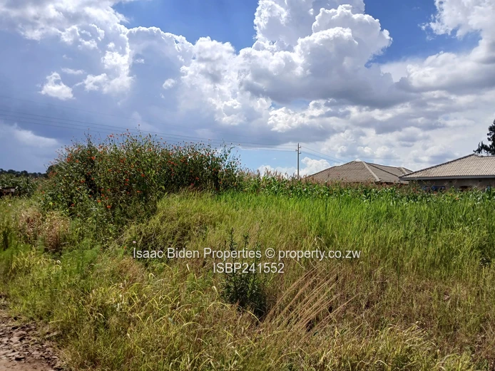 Massive Industrial Stand off Mutate Road