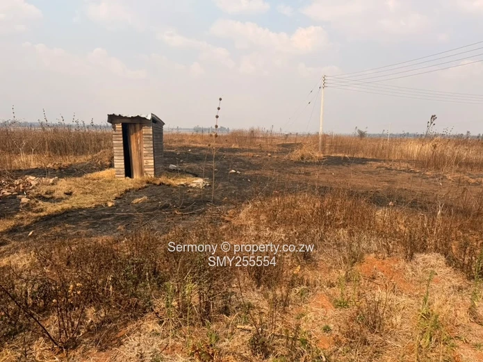 Residential house for rent