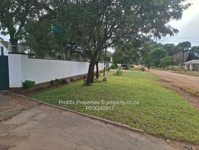 Msasa Investment opportunity