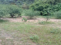 Farm & Agricultural Land