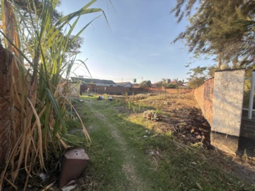 Stands & Residential Land
