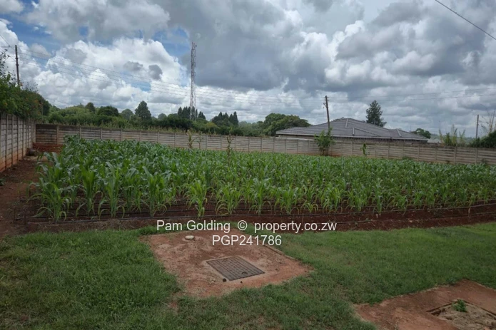 Prime Land Opportunity: Redevelopment Potential (Sole Mandate)