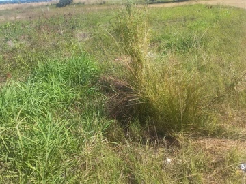 200m² Residential Land for Sale in Stoneridge, Harare South