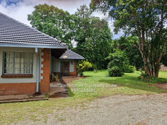 Interesting Investment Opportunity 