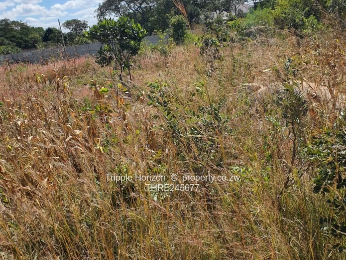 1000m² Stand in Crowhill Views — Gravel Road Access