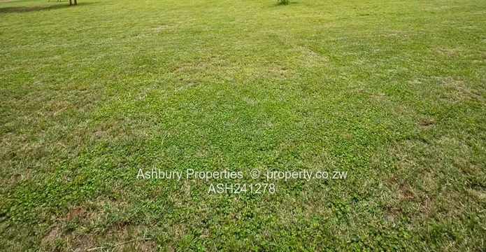 A prime Stand in the Leafy side of Mandara