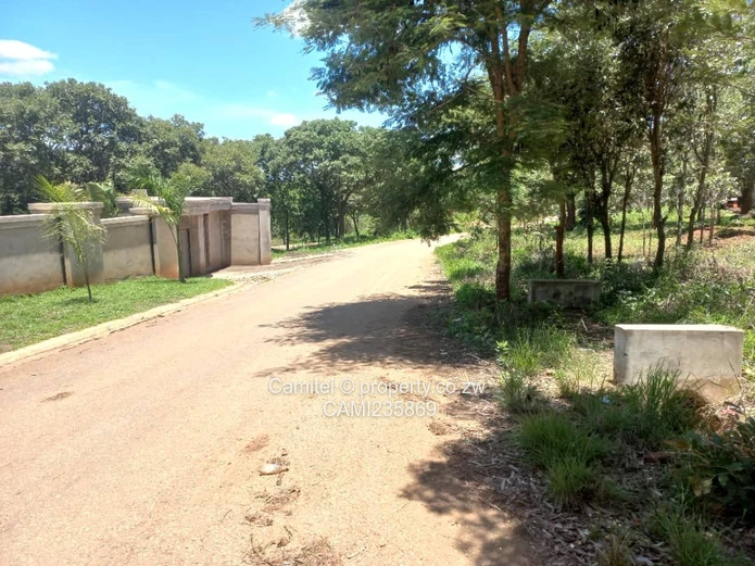 2000sqm stand with title deed in Shawasha on flat land:TERMS ACCEPTED 