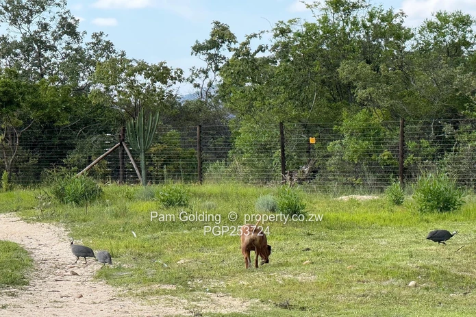 Juliasdale Property for Sale