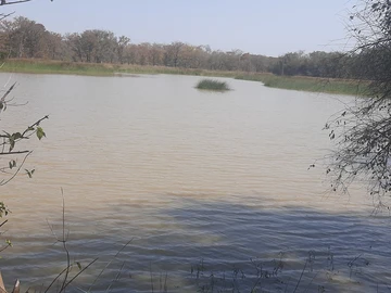 Farm & Agricultural Land