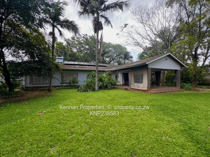 4 Bedroom House to Rent in Alexandra Park