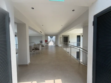 Flat & Apartment