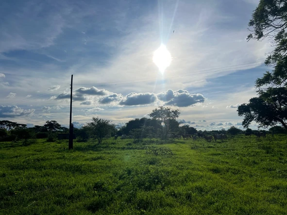 Farm & Agricultural Land