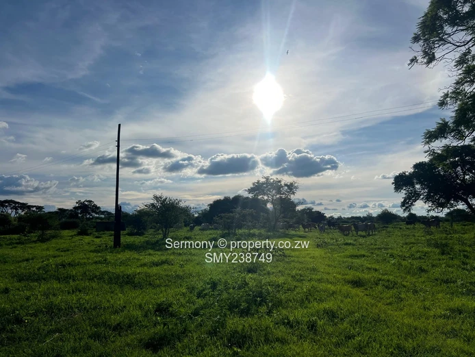 Agricultural Farm For Sale