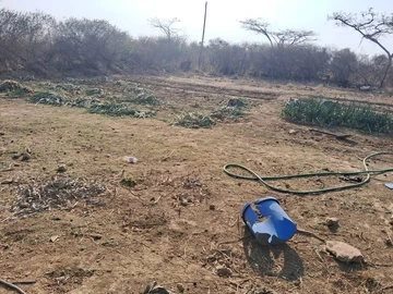 Farm & Agricultural Land