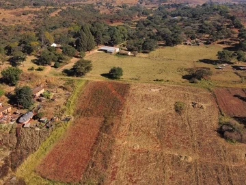 Farm & Agricultural Land