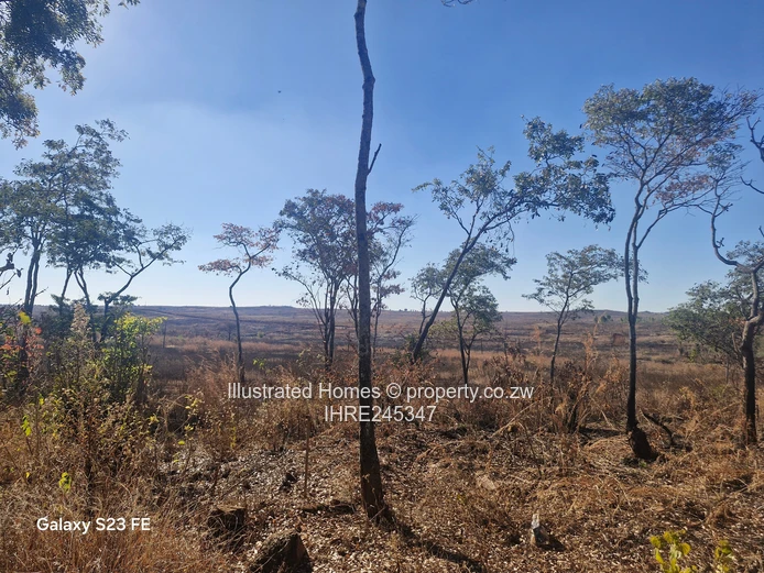 41ha Crowhill Views - Subdividable Land with Main Road Frontage
