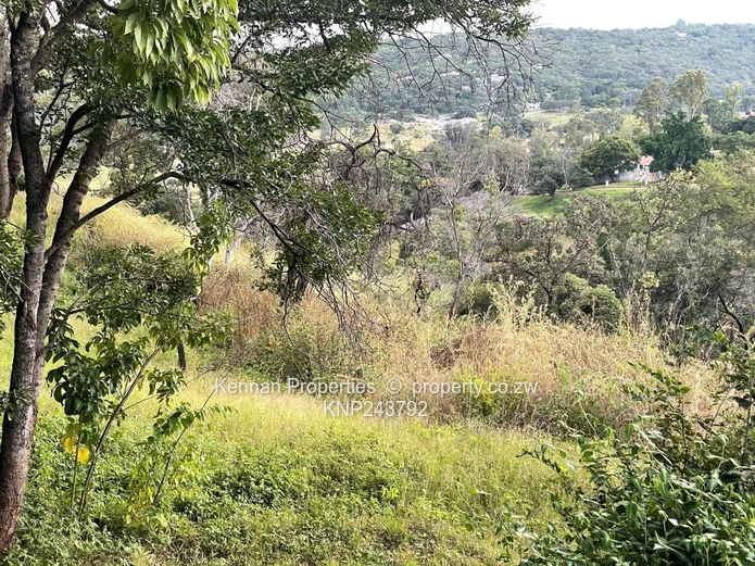 Helensvale - Just listed  - 2 stands for sale with views  	