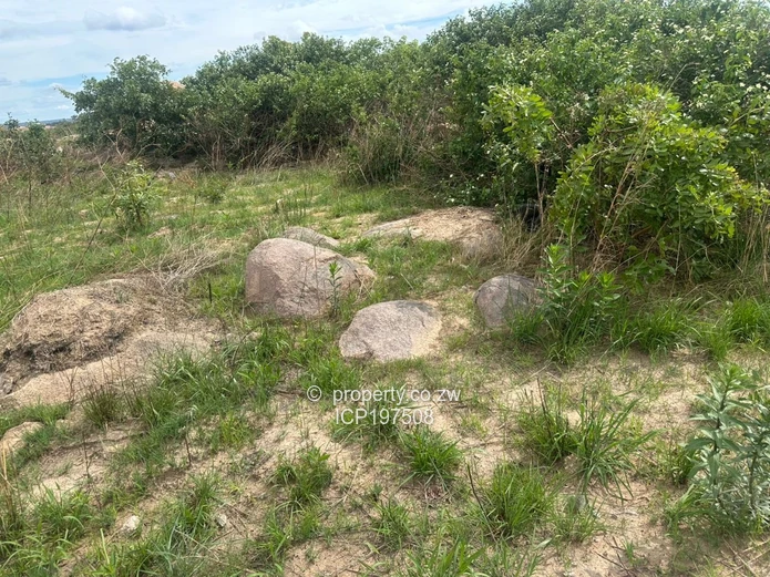 300 sqm Land  for Sale in Donnybrook, Harare  price $10 000 terms available   
