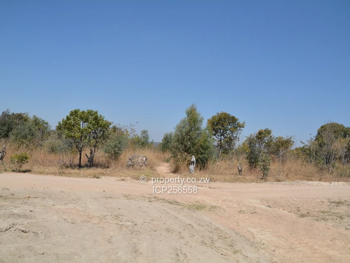 7 Hectares Liwonde Farm Goromonzi