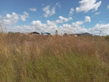 Commercial & Industrial Land