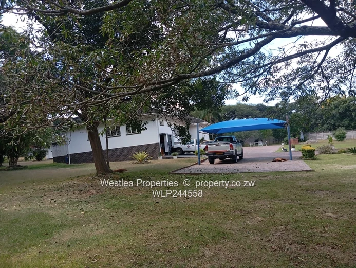 Grab this massive gem