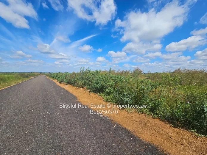 Nyeredzi Ridge Stand for sale
