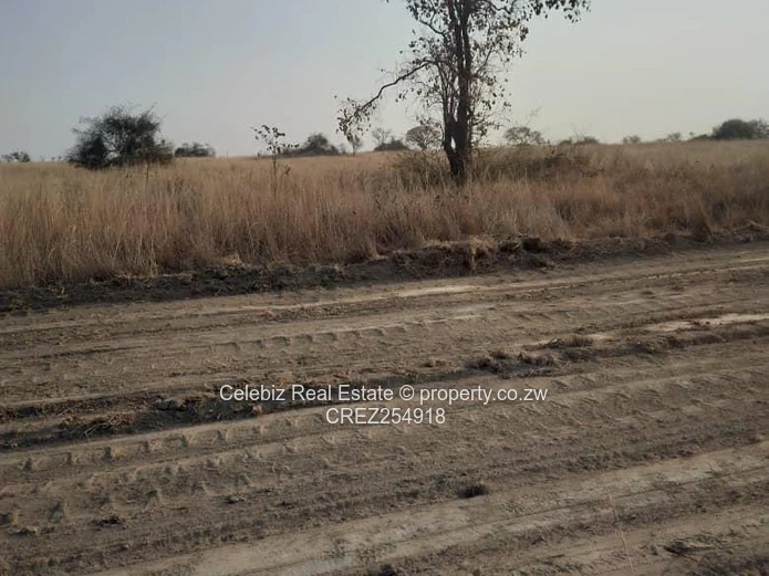 Penrose Nyabira stand for sale 