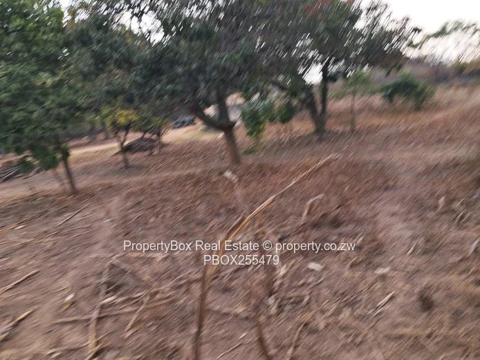 Waterfalls Subdivision Stand for Sale! 